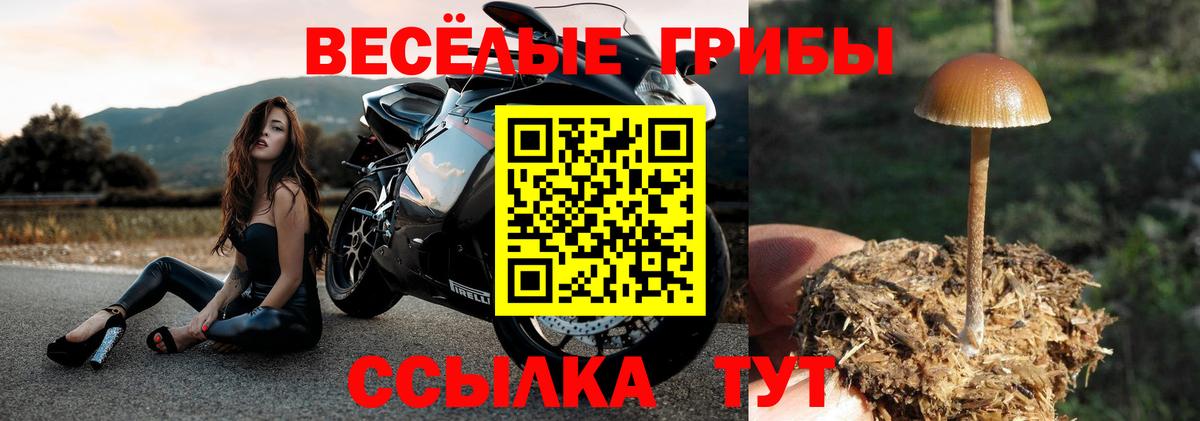 Псилоцибиновые грибы ЛСД  Псилоцибиновые грибы Psilocybine cubensis  Дзержинский  Вход с VPN 